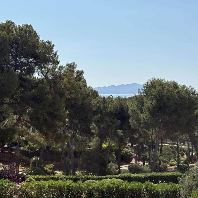 Charmant appartement vue mer - 4 pers. - FR-1-845-45 - Appartement - 12