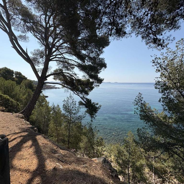 Charmant appartement vue mer - 4 pers. - FR-1-845-45 - Appartement - 19