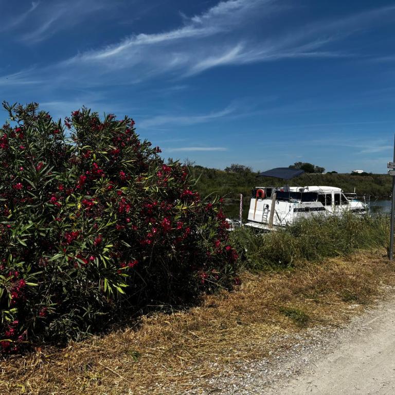 Séjour unique à bord du Tarpon 42 - 12 pers. - API-1-46-39 - Maison de Vacances - 20