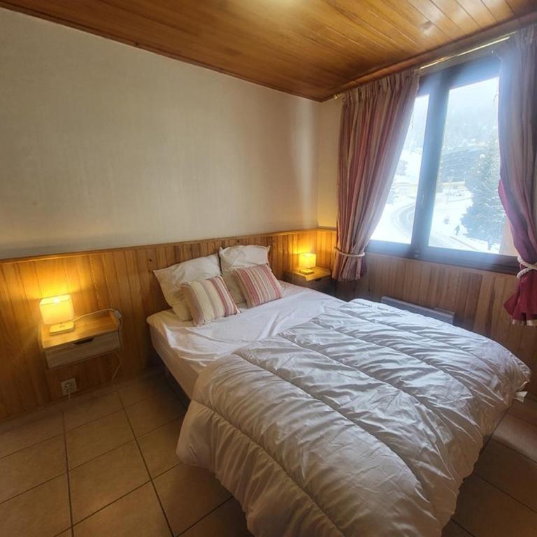 Appartement en centre station, animaux OK - FR-1-266-290 - Apartamento - 9