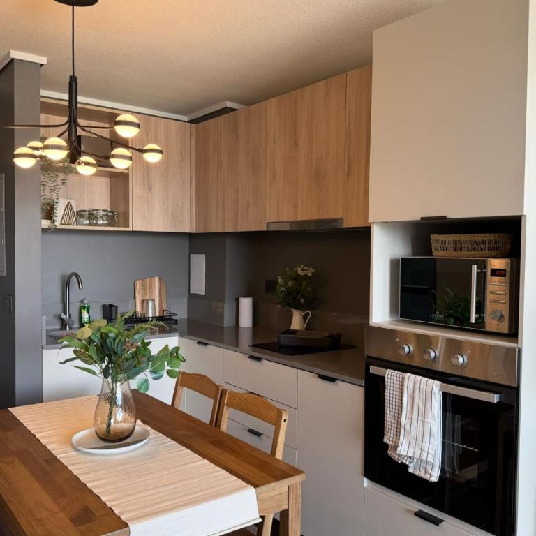 Hermoso depto en el centro de stgo - One-Bedroom Apartment - 6