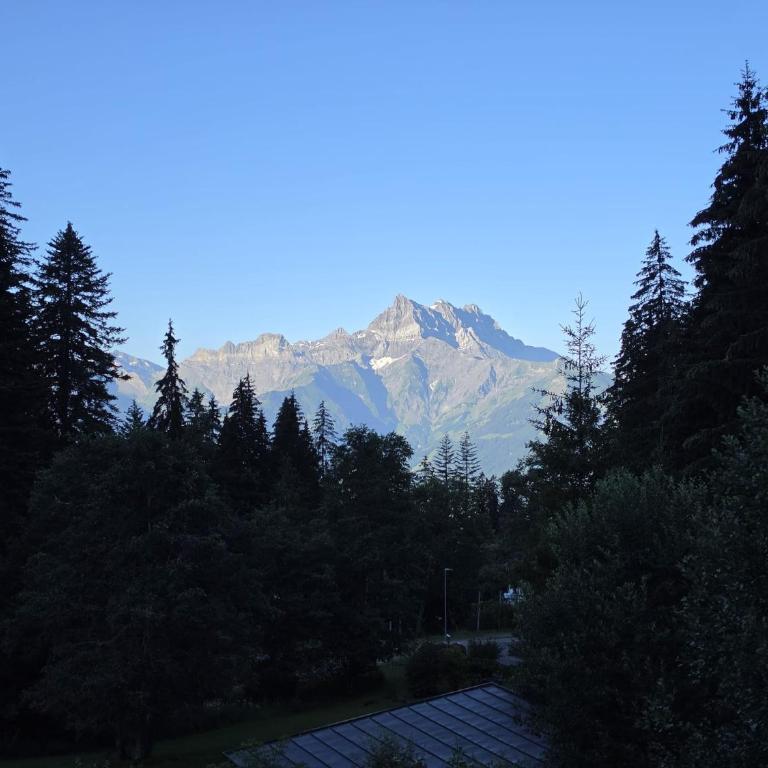 Alpine Family Duplex with amazing terrace - Appartement 2 Chambres avec Balcon et Terrasse - 14