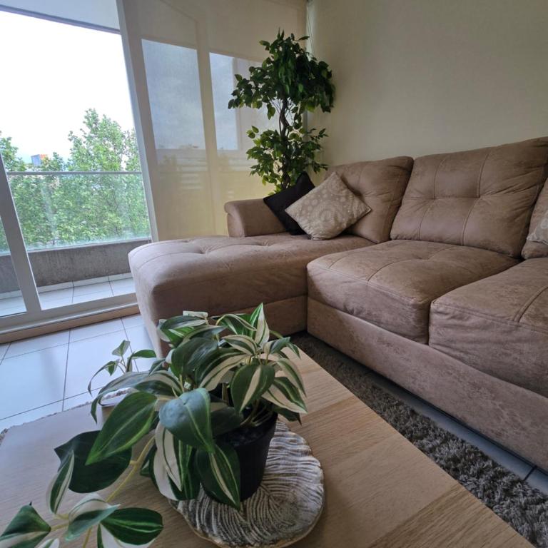 Amplio y comodo Departamento Parking Wifi - Three-Bedroom Apartment - 3