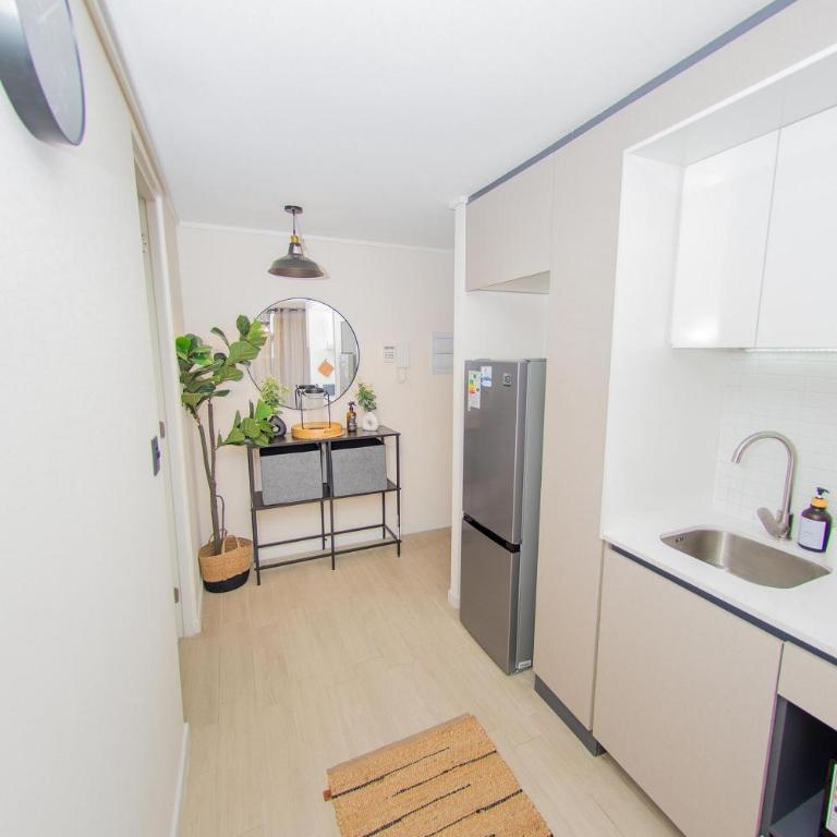 AR Apartment for rent in San Isidro, downtown Santiago - Apartment - 26