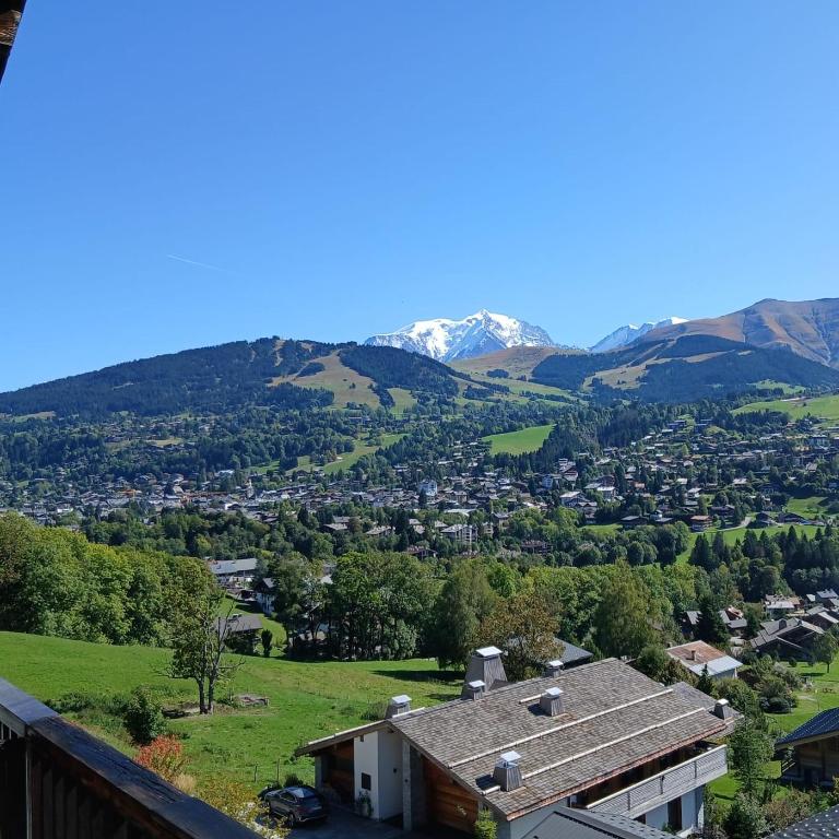 Les Chalets Du Mont Blanc - Three-Bedroom Apartment with Mountain View - 1