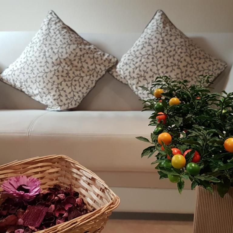 Veronetta lovely apartment - Apartment - Ground Floor - 1