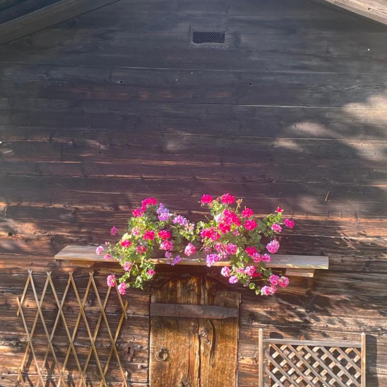 Les Chalets Du Mont Blanc - Three-Bedroom Apartment with Mountain View - 13