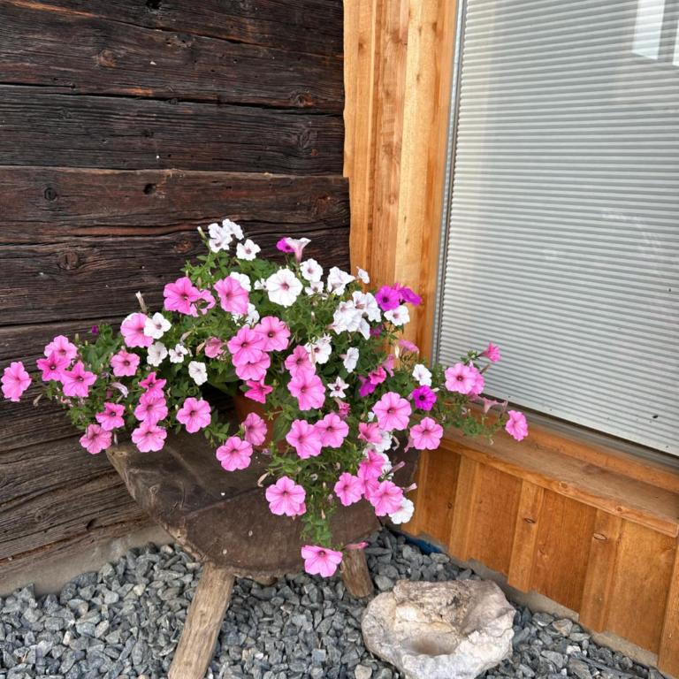 Troatkastl Liebenfels - Haus mit 1 Schlafzimmer - 21