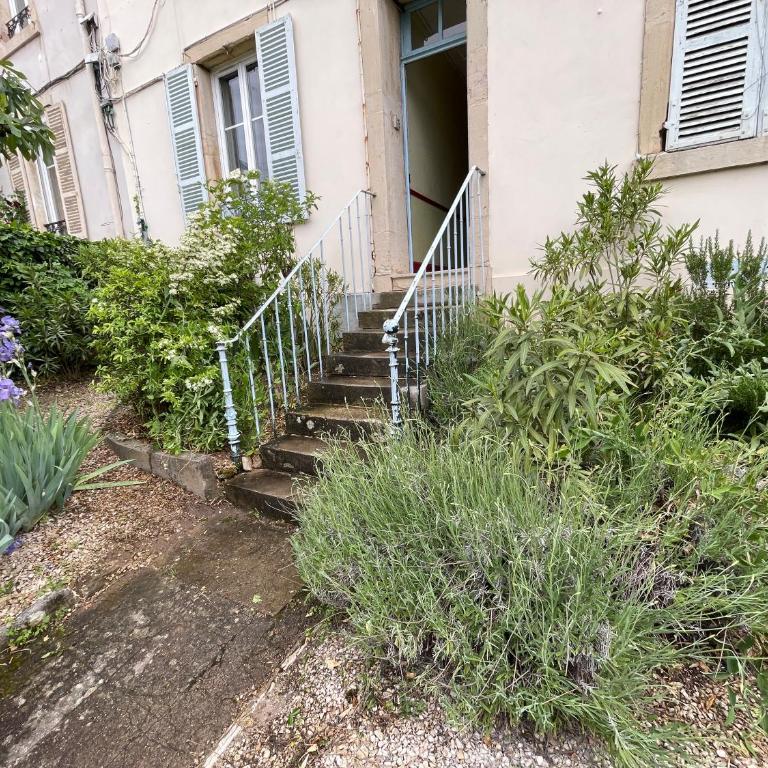 Le jardin de Dijon - Appartement - 65