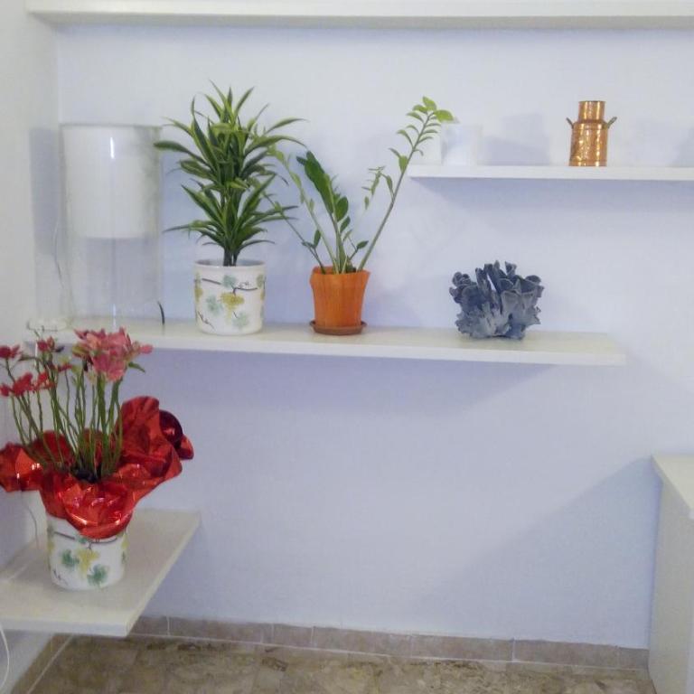 Appartamento Rifredi - Appartamento con 2 Camere da Letto - 10