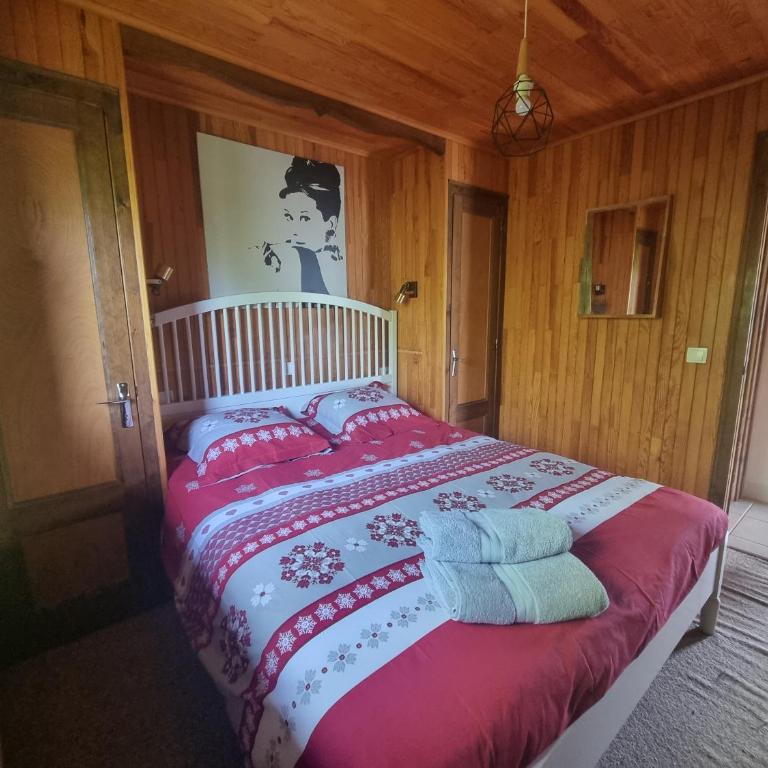 Comfortable Chalet with spectacular mountain views - Maison 3 Chambres - 26