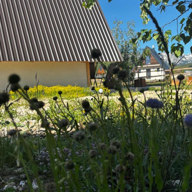 Vila Vuk - Kuća sa 2 Spavaće Sobe - 6