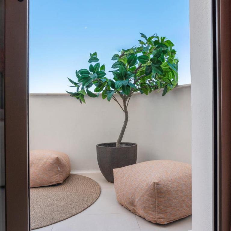 Suite Elegante - One-Bedroom Apartment with Balcony - 14