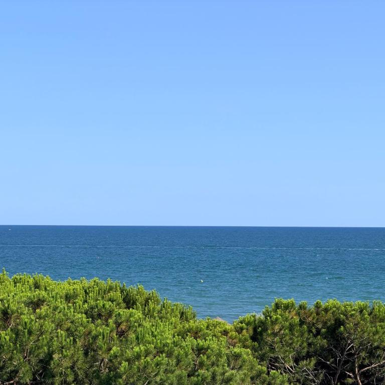 G-Beach - Home immobiliare - Appartamento Attico - 26