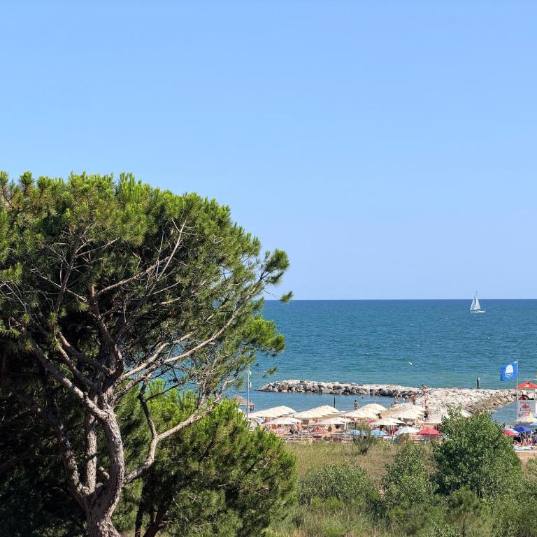 G-Beach - Home immobiliare - Appartamento Attico - 30