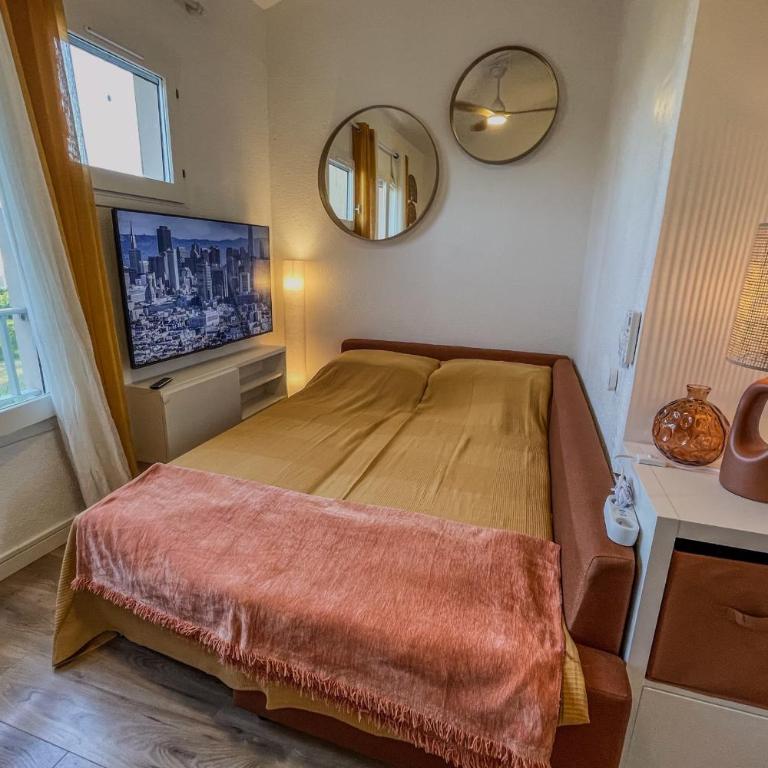 Charming studio with terrace near the beaches - Apartment - 9