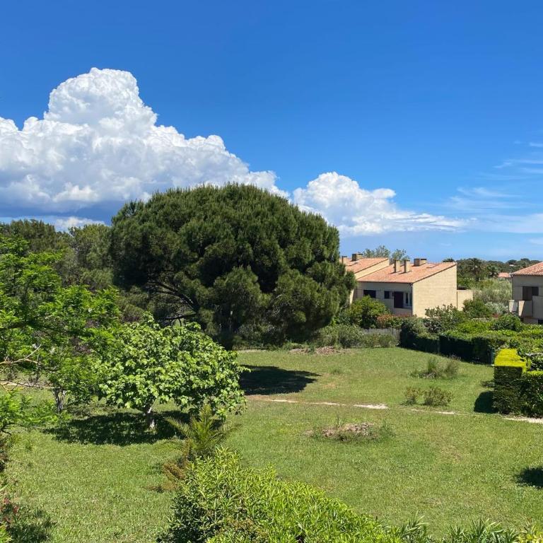 Charming studio with terrace near the beaches - Apartment - 31