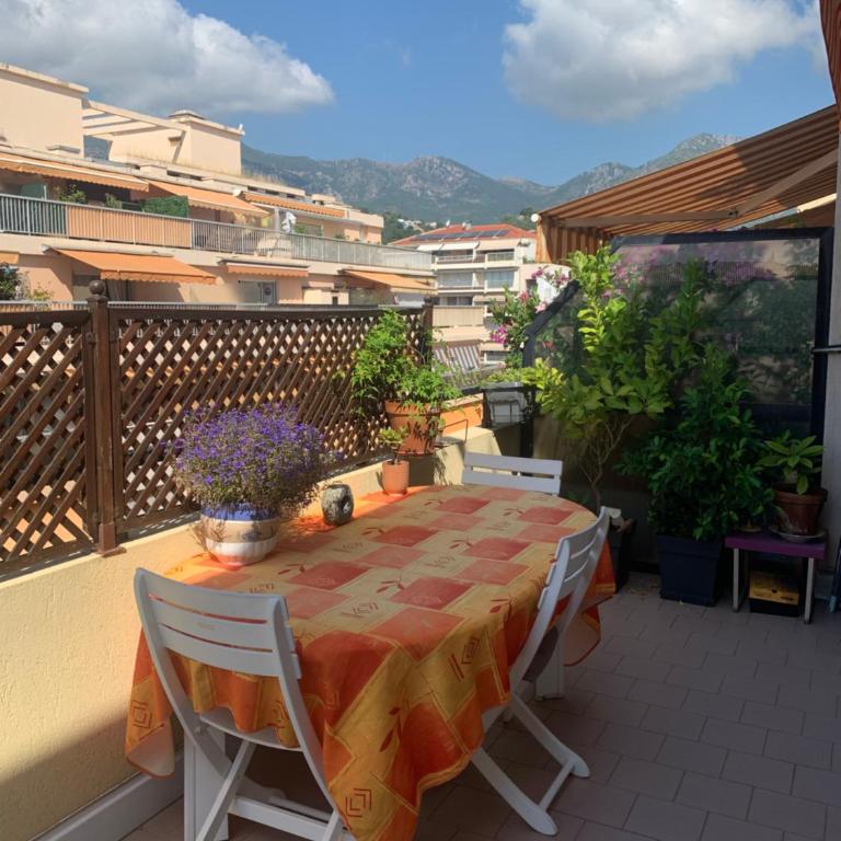 Relax Au Soleil - Studio avec grande terrasse - Proche de la plage 100 m et du centre ville - Studio avec Terrasse - 7