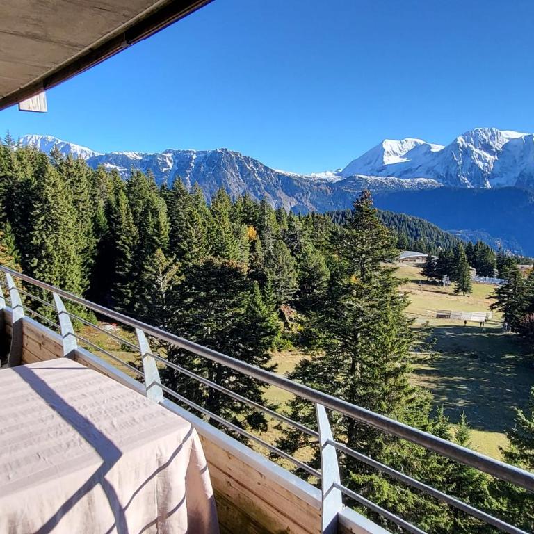 Vue spectaculaire, Appartement T3 pied des pistes, terrasse, parking, 6 pers - Appartement - 4