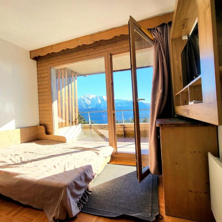 Vue spectaculaire, Appartement T3 pied des pistes, terrasse, parking, 6 pers - Appartement - 9
