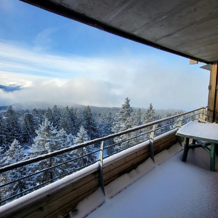 Vue spectaculaire, Appartement T3 pied des pistes, terrasse, parking, 6 pers - Appartement - 17