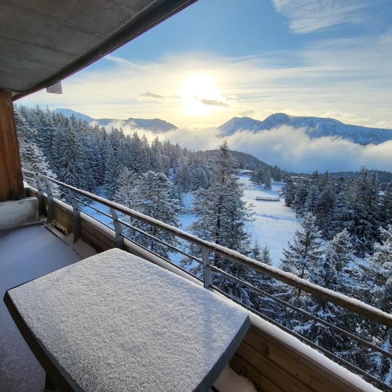 Vue spectaculaire, Appartement T3 pied des pistes, terrasse, parking, 6 pers - Appartement - 19