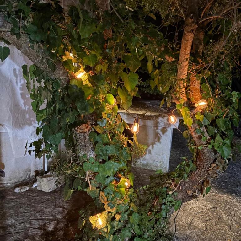 Little trullo Lucia - Villa con 1 Camera da Letto - 29