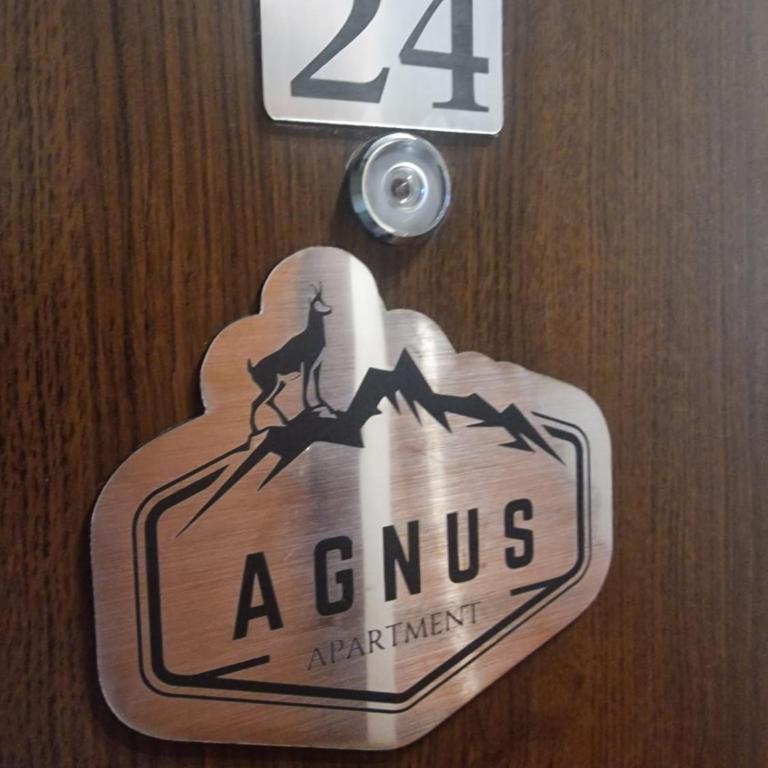 AGNUS mountain - Dupleks Apartman - 14