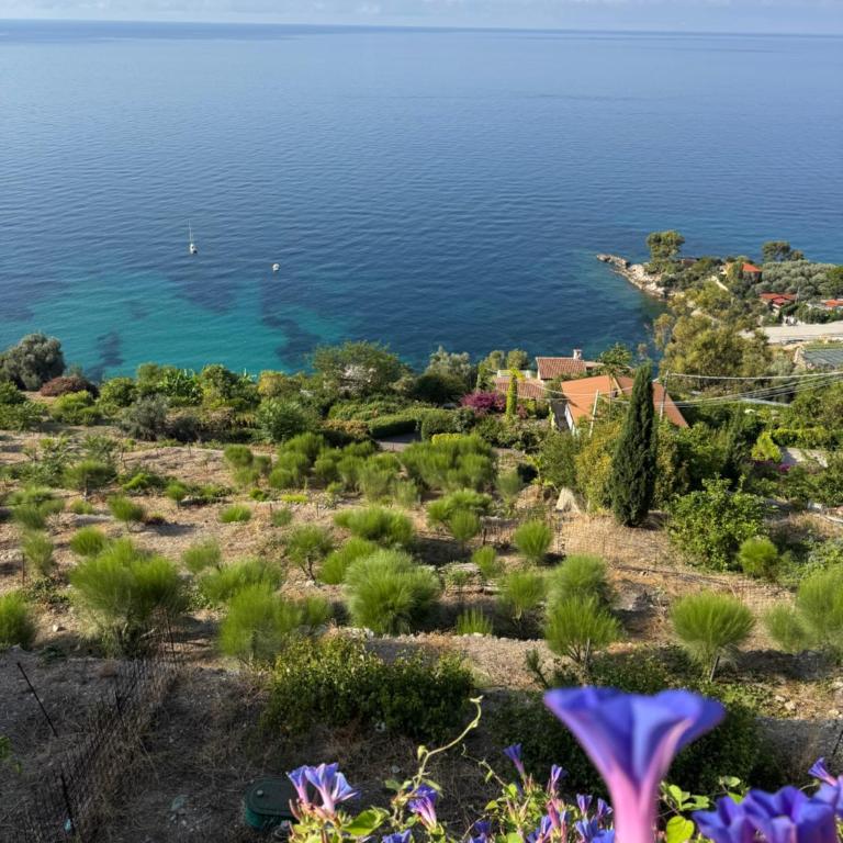 Suite Victoria Beach - Carré d'Or - Terrasse - Plage 50 m - Appartement 1 Chambre - 25