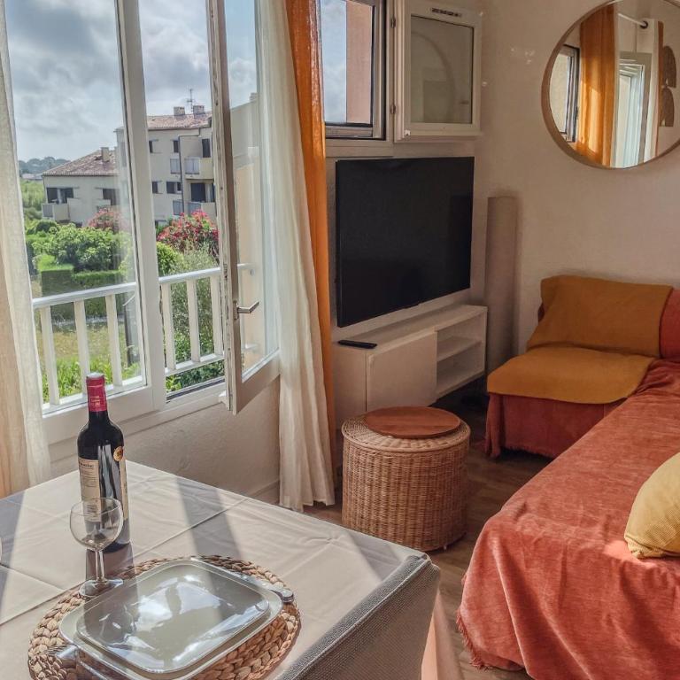 Charming studio with terrace near the beaches - Apartment - 39