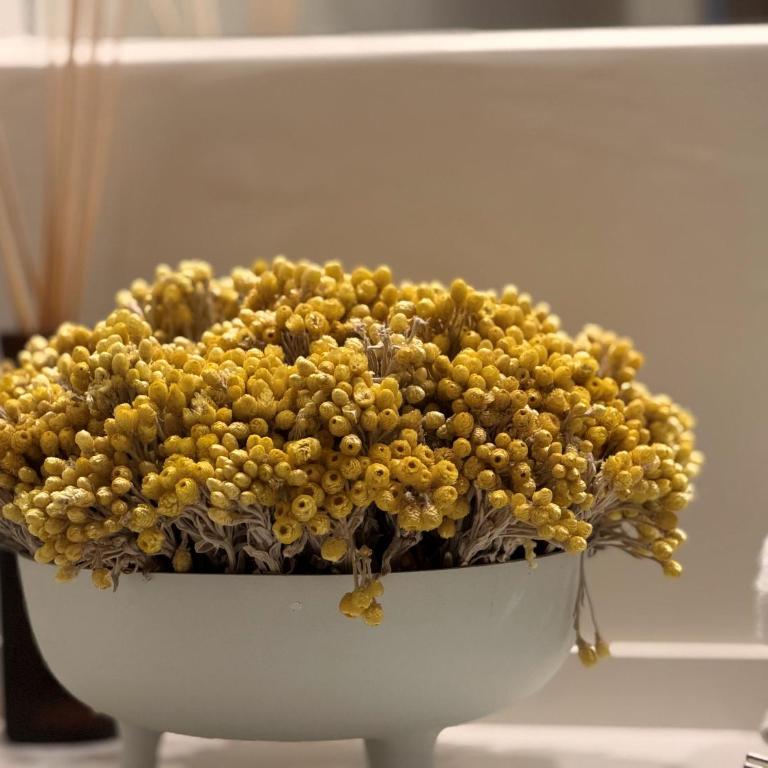Milenial Immo - Refugio boutique en el corazón de Cadaqués - Estudio Doble Deluxe - 12