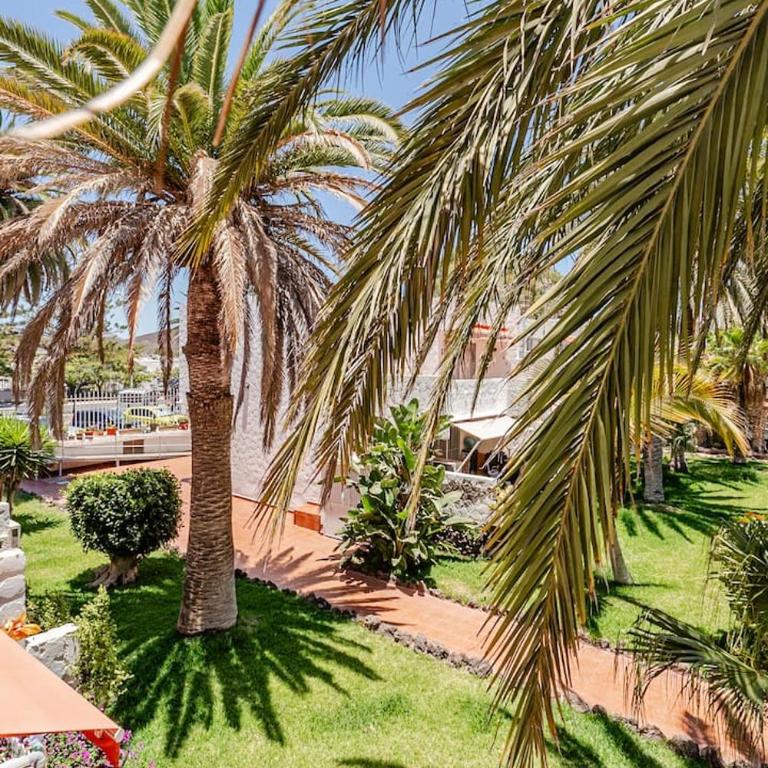 Canarian blue Suite tropical garden view & Pool - Apartamento de 1 dormitorio - 5
