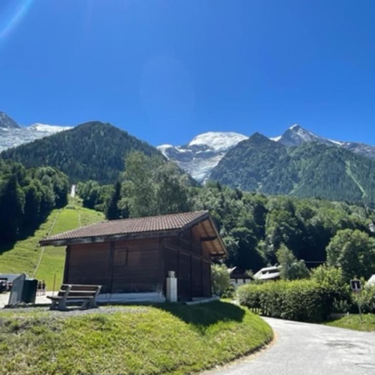 Apt with nice view near the center of Chamonix - Appartement - 3