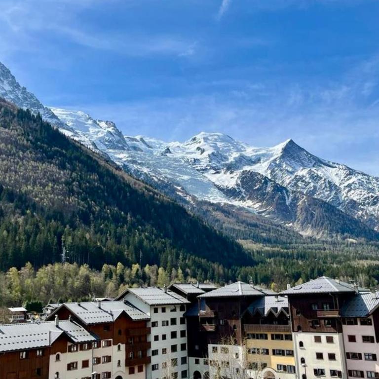 Nice flat with balcony view Mont Blanc Parking - Apartment - 18