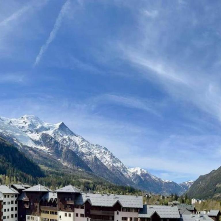 Nice flat with balcony view Mont Blanc Parking - Apartment - 22