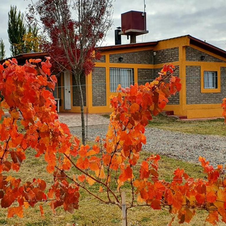 Cabaña del Alto Tupungato - Casa de 2 dormitorios - 18
