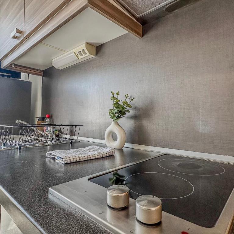 L'Elysée Grenoblois - One-Bedroom Apartment - 15