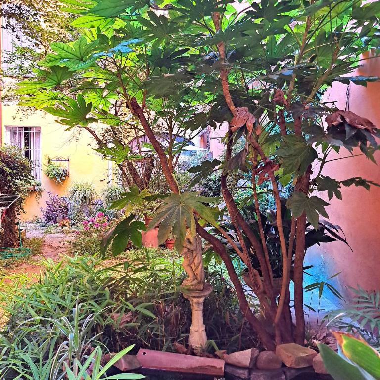 Sant'Isaia Comfort Apartment - Two-Bedroom Apartment - 14