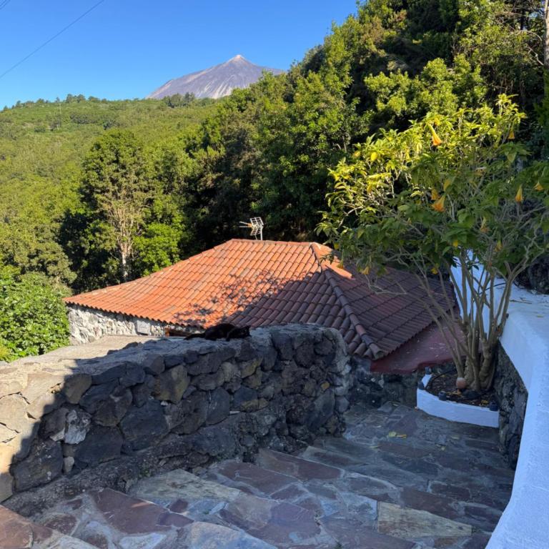 Finca el molledo - Casa con 1 dormitorio - 3