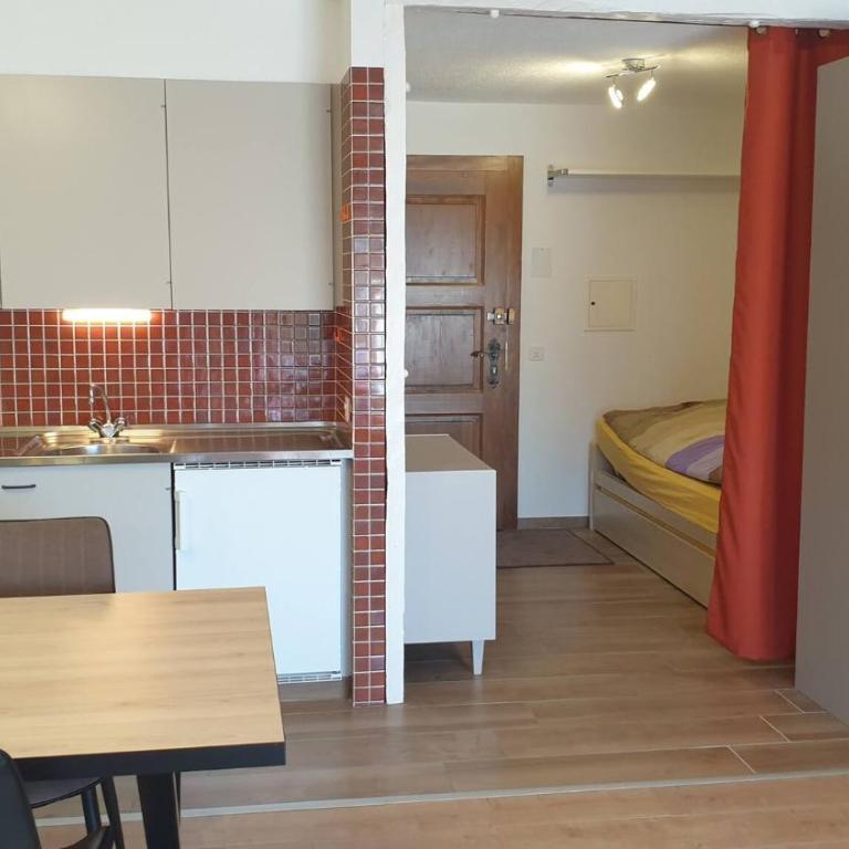 Immeuble Les Dauphinelles - Studio mit Bergblick - 4