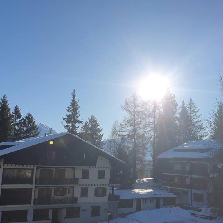 Immeuble Les Dauphinelles - Studio mit Bergblick - 10