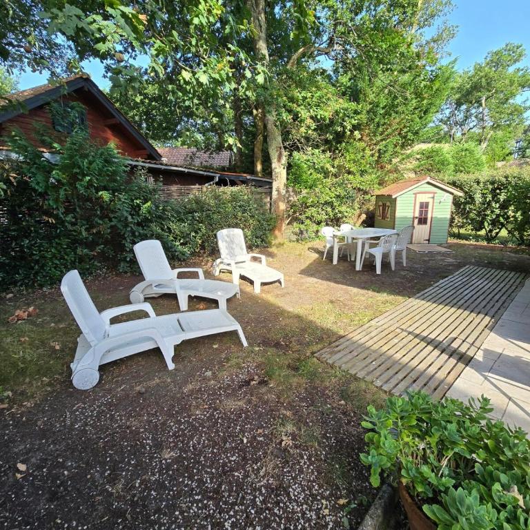 Chalet tout confort dans parc de loisirs arboré et piscine - Chalet 1 Chambre - 6