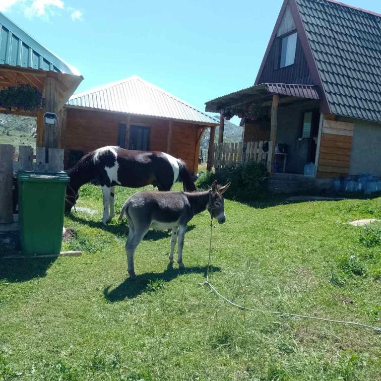 Konoba Vratlo Sinjajevina Ječmen Do - Dvokrevetna Soba sa Zasebnim Krevetima i Terasom - 1