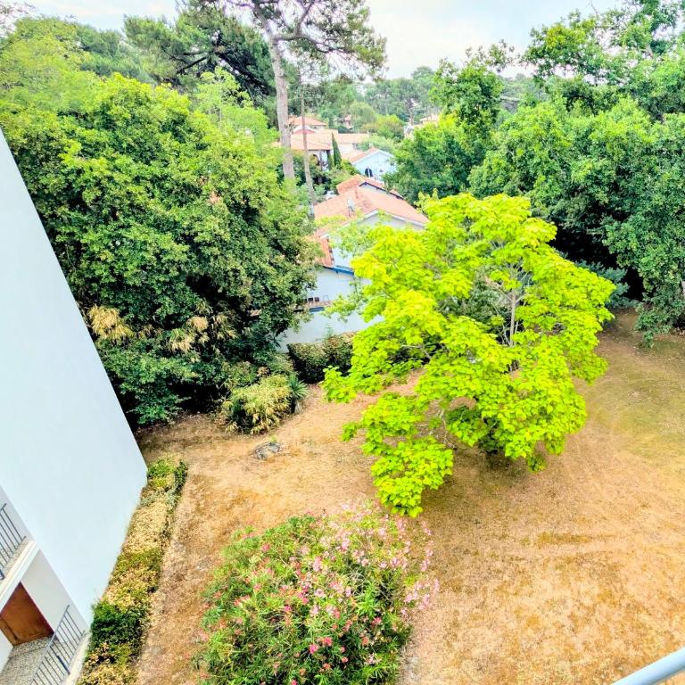 Tout Inclus - Plage Pereire - Les Abatilles - One-Bedroom Apartment - 37