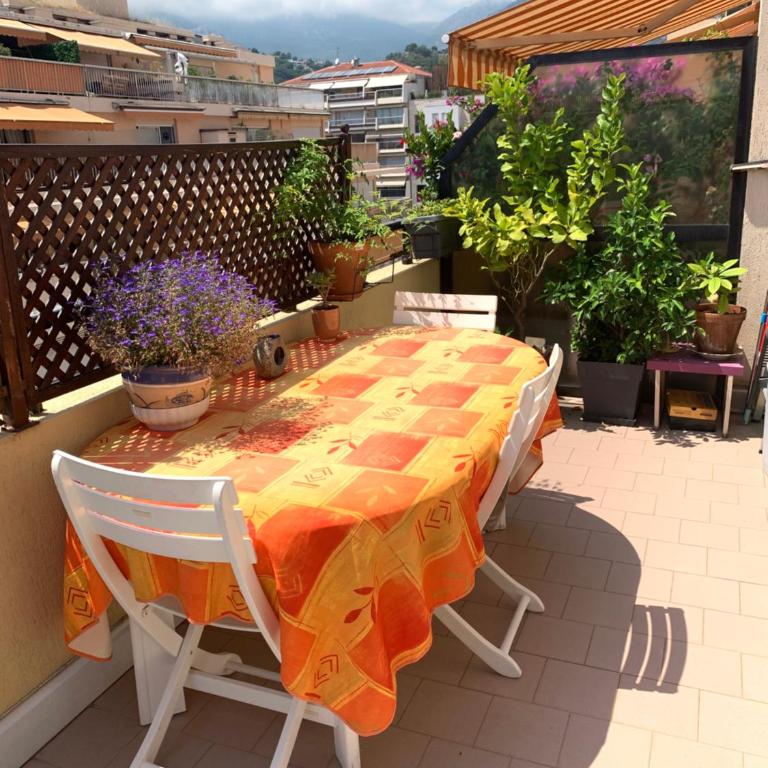 Relax Au Soleil - Studio avec grande terrasse - Proche de la plage 100 m et du centre ville - Studio avec Terrasse - 6