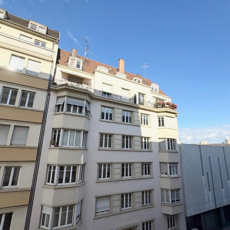 D’Stuba Charm and comfort in Strasbourg - Apartment - 4