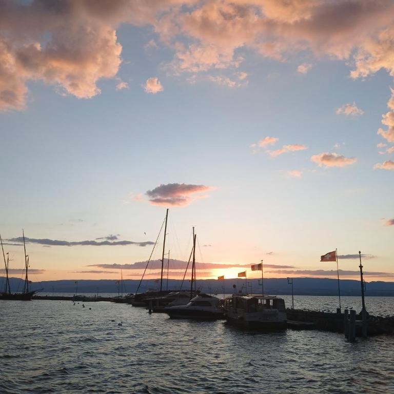 Evian Sunsets - Appartement 1 Chambre Supérieur avec Balcon - 4