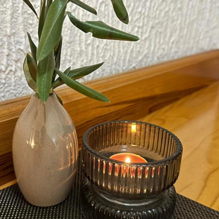 Bindi De-Lux - Niskobudžetna Dvokrevetna Soba sa Bračnim Krevetom - 7