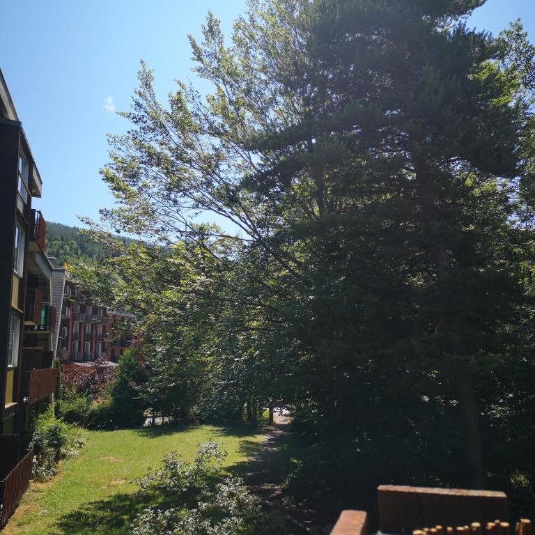 T2 cosy - St Jean Montclar - Station de ski - Appartement 1 Chambre - 4