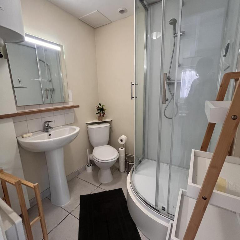 Studio cosy 2 pers près fac et centre Angers - Appartement 1 Chambre - 5